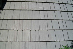 kasselshake_06