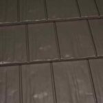 Shake Gray shake gray